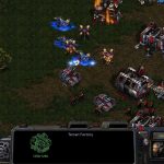 StarCraft gra do pobrania
