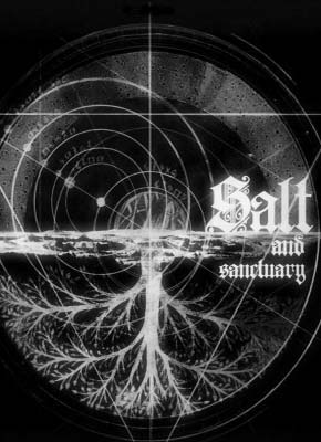 Salt and Sanctuary pobierz grę