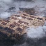Total War Three Kingdoms free download
